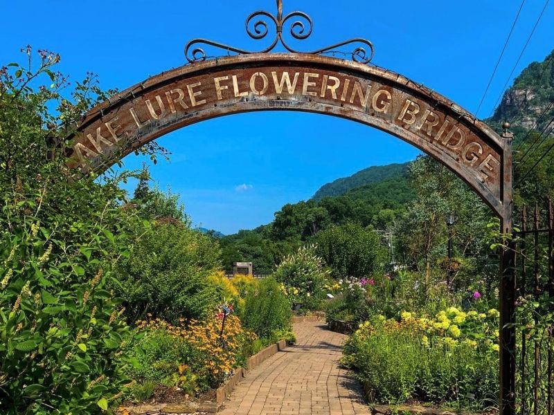 Lake Lure Flowering Bridge